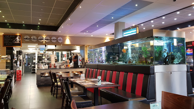 Opinii despre Dijkhuis în Andijk - Horeca