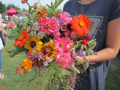 Comentarii opinii despre Pluktuin Stoutenburg