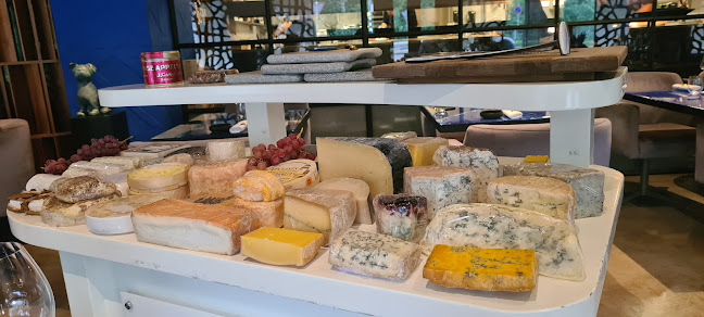 Restaurant STER - Rotterdam