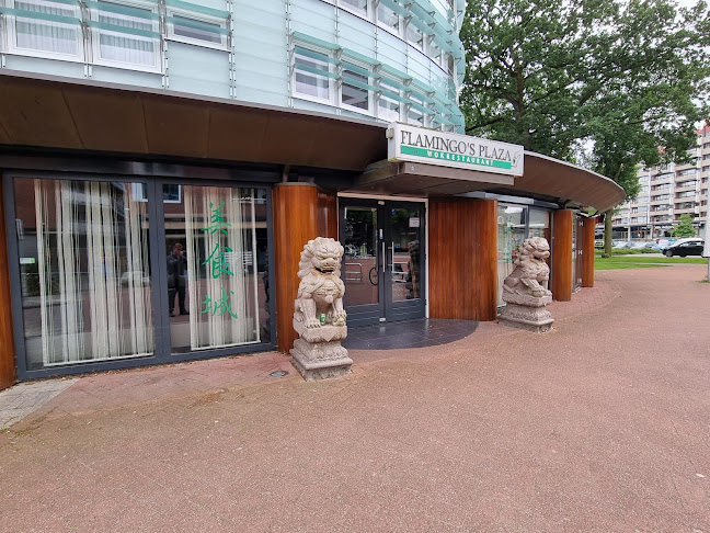 Flamingo's Plaza Wokrestaurant - Emmen