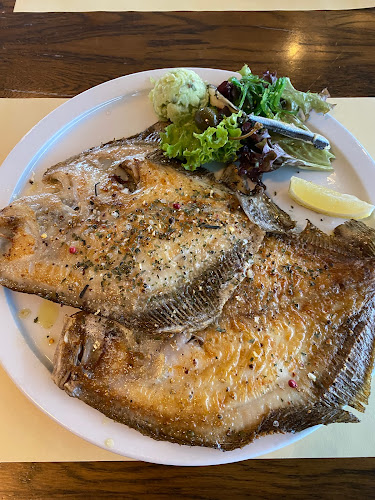 Brasserie De Rotterdammer - Horeca