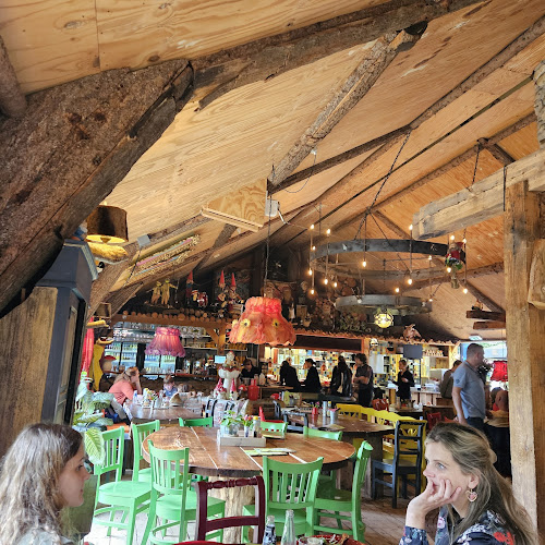 Comentarii opinii despre Het Grote Kabouterbos