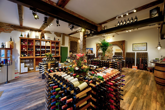 Opinii despre de Wijnkelder XL în Oldenzaal - Horeca