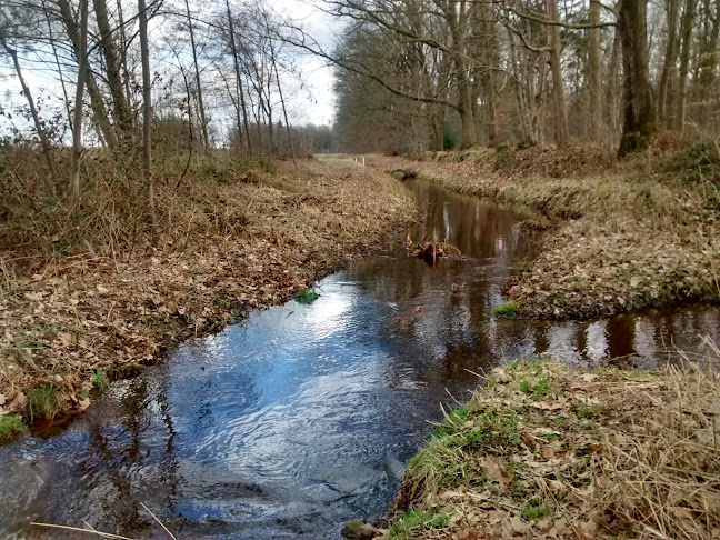 Comments and reviews of Bed & Breakfast De Balkende Ezel