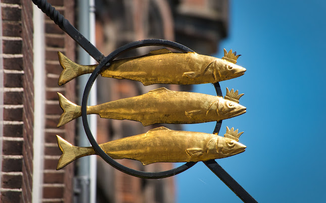 Comentarii opinii despre De Oude Bakkerij