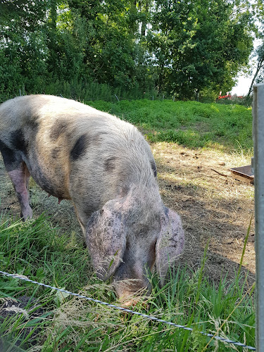 Theetuin 't Groene Broek Phone number