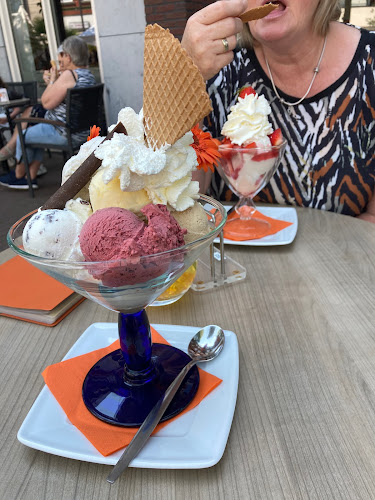 Comments and reviews of Passi