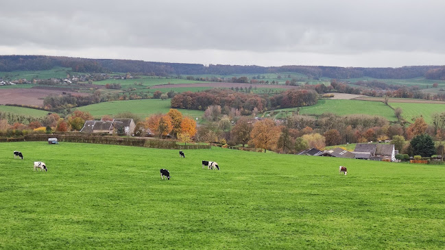 Comentarii opinii despre Restaurant Buitenlust