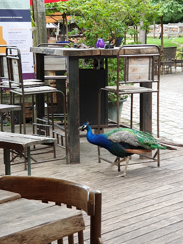 Harles 23, 6294 NG Vijlen