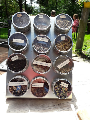 Dennenweg 1A, 9551 VJ Sellingen