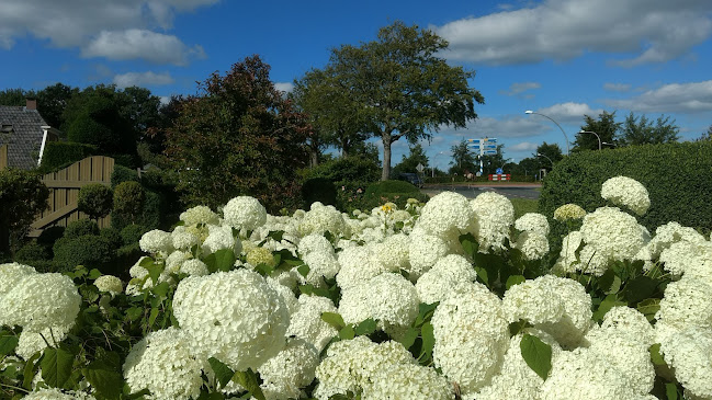 Ellen's Creative Cakes - Donderen