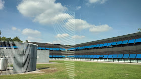 Borrelkelder Beneden Peil