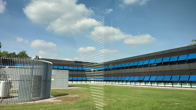 Borrelkelder Beneden Peil