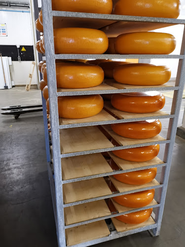 Comentarii opinii despre Visser Kaashandel