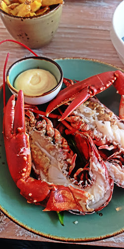 Comentarii opinii despre Dijkpaviljoen De Westkaap