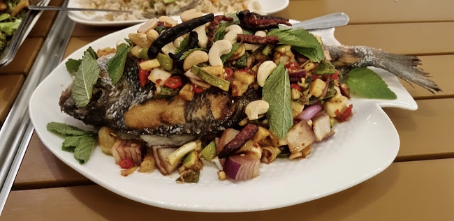 Nobelstraat 19, 2513 BC Den Haag