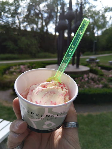 Comentarii opinii despre Huupkens IJssalon