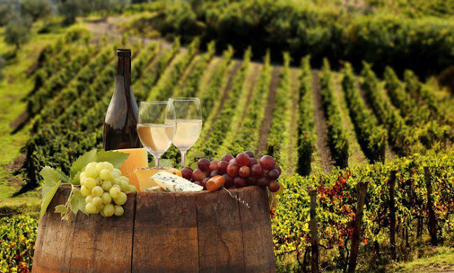 Opinii despre Wijnvriend în Berkel en Rodenrijs - Horeca