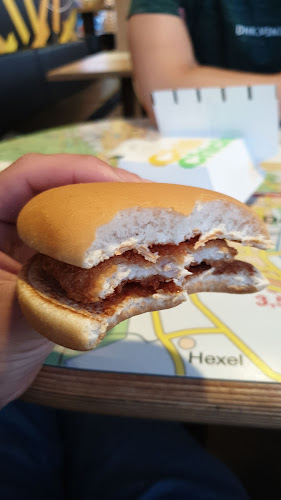 Comentarii opinii despre McDonald's Nijverdal/ Hellendoorn