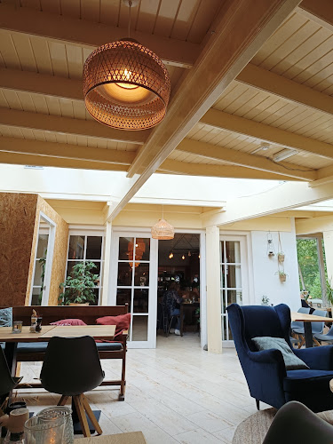 Comentarii opinii despre Boscafe