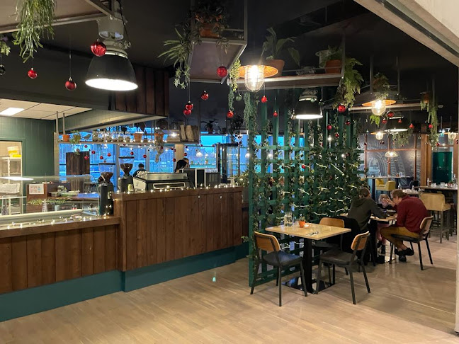 Comentarii opinii despre Root Foods