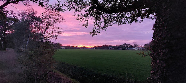 Comments and reviews of Herterij Twente