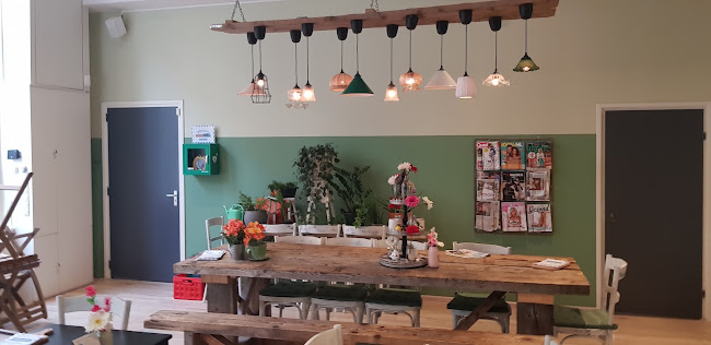 Brownies&downieS Haarlem - Haarlem