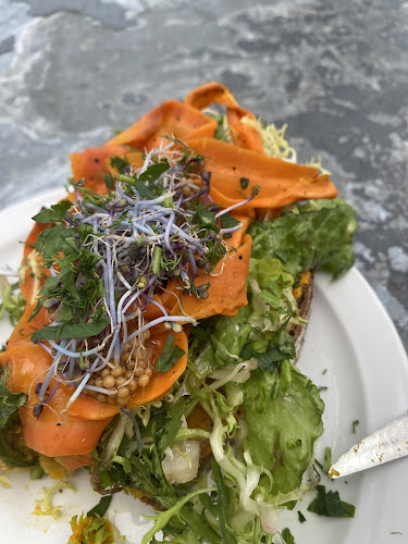 Comentarii opinii despre Noordertuin