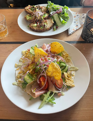 Comentarii opinii despre Fonteyn Groede