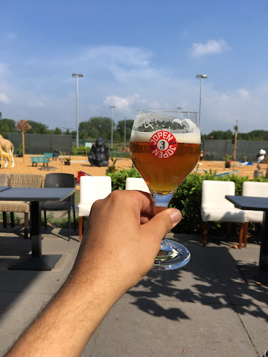 Opinii despre Pannenkoeken Paradijs Haarlem în Haarlem - Horeca