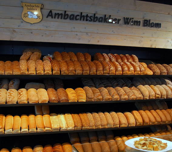 Comentarii opinii despre Bakker Blom