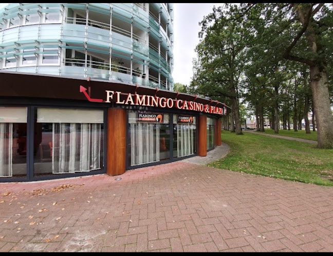 Opinii despre Flamingo's Plaza Wokrestaurant în Emmen - Horeca