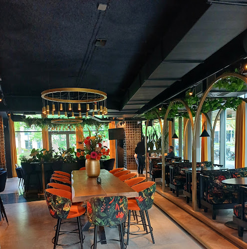 Comments and reviews of Sophias