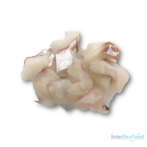 Comments and reviews of Zeevismarkt Urk