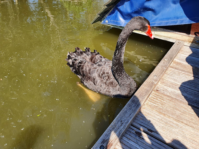 Reviews of Beachbar Marnemoende in IJsselstein - Horeca
