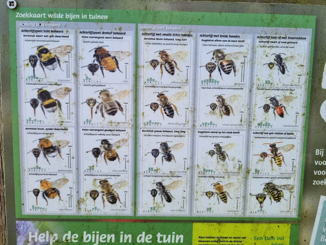 Brasserie het Stroomhuis