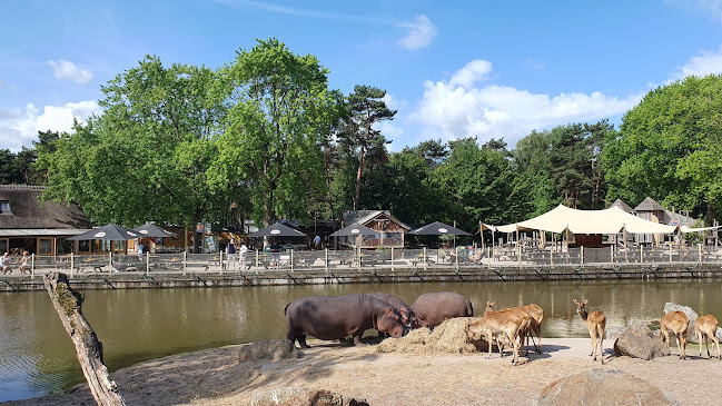 Kongo Restaurant - Hilvarenbeek