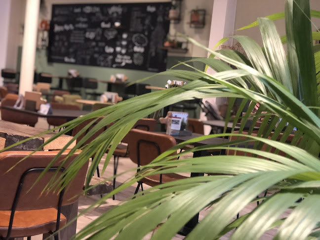 Brownies&downieS Haarlem - Haarlem