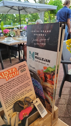 Opinii despre Grand café Restaurant de Mallejan în Plasmolen - Horeca