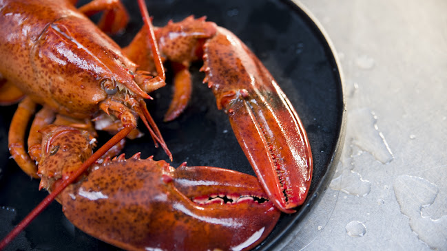 Harbour Café - Groningen