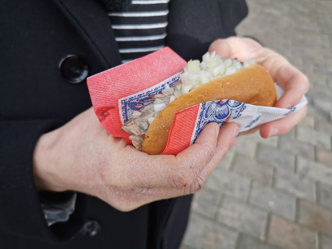 Buitenhof 30, 2513 AG Den Haag