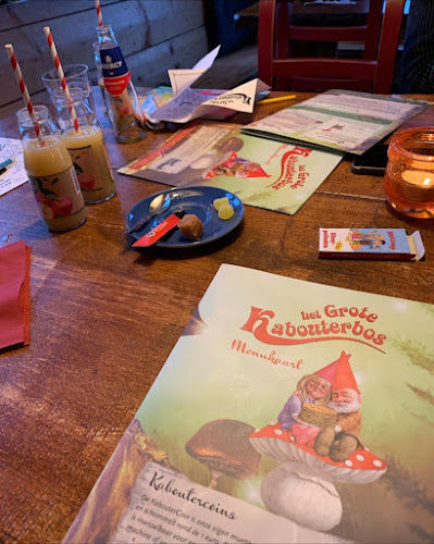 Comentarii opinii despre Het Grote Kabouterbos