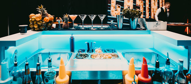 Shake Kings | Mobile Cocktail Catering | Cocktail workshops | Barverhuur Bedrijf - Bergen