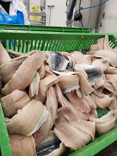 Neptunus BV - Horeca