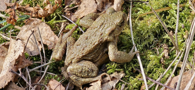 Eetcafé de Klinkert