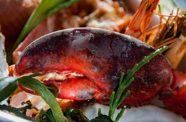 Panta Rhei Lounge & Bites - Vlissingen