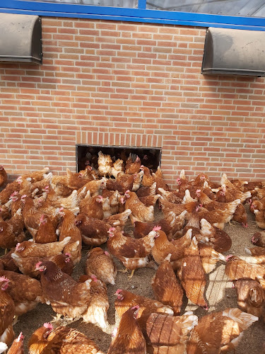 Reviews of Malpie Hoeve in Valkenswaard - Horeca