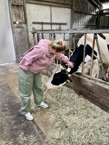 Boerderij Terras de Ritskampen - Vlijmen