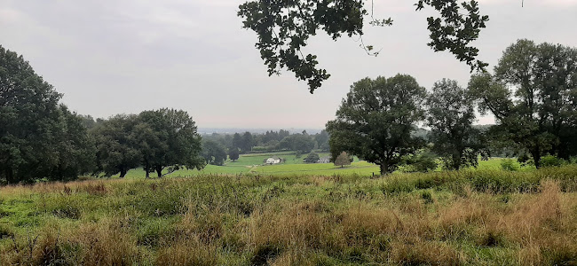 Comments and reviews of De Steenen Tafel