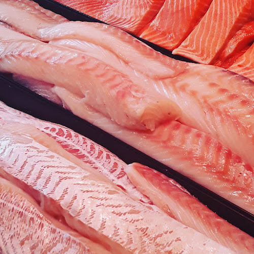 Visspecialist Hoogvliet - Horeca